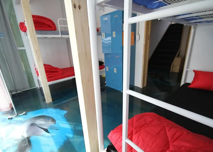 Time Travelers Party In Hongdae Hostel Seoul